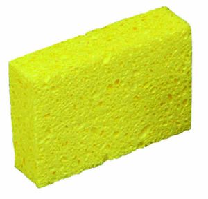 Sponges